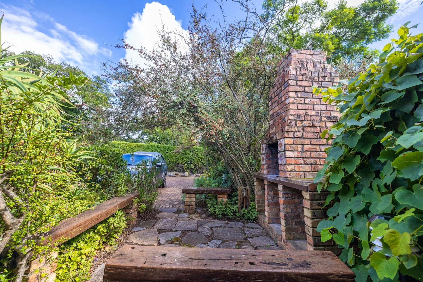 A lush garden with braai area